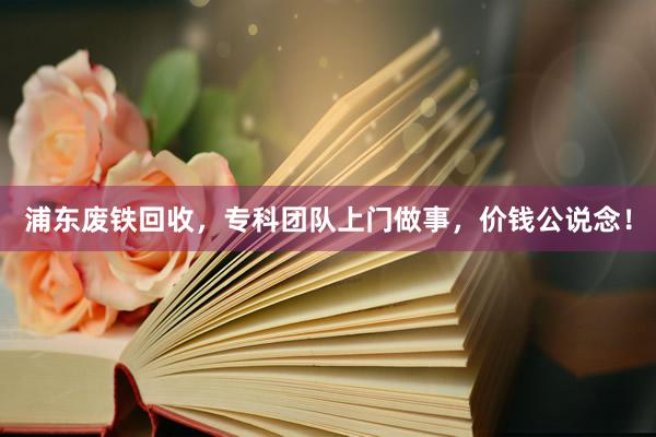 浦东废铁回收，专科团队上门做事，价钱公说念！